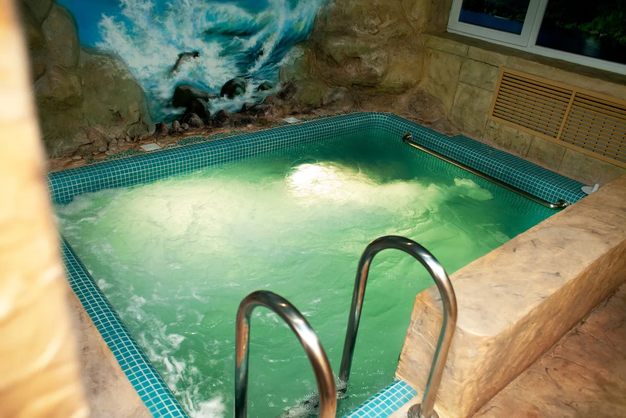 Аренда SPA бани на дровах с бассейном